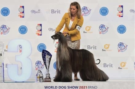 FCI World Dog Show Brno 2021