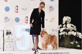 FCI World Dog Show Brno 2021