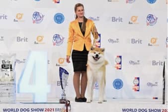 FCI World Dog Show Brno 2021