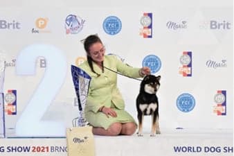FCI World Dog Show Brno 2021