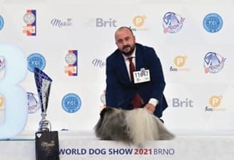 FCI World Dog Show Brno 2021