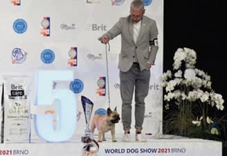 FCI World Dog Show Brno 2021