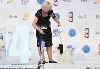 FCI World Dog Show Brno 2021