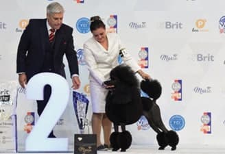 FCI World Dog Show Brno 2021