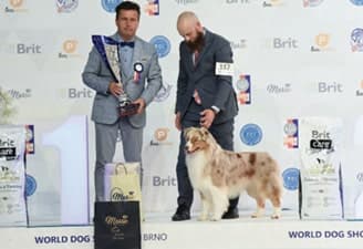 FCI World Dog Show Brno 2021
