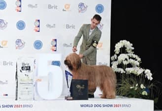 FCI World Dog Show Brno 2021