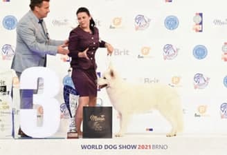 FCI World Dog Show Brno 2021