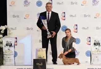 FCI World Dog Show Brno 2021