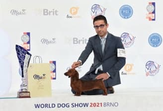 FCI World Dog Show Brno 2021