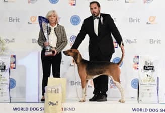 FCI World Dog Show Brno 2021
