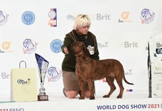 FCI World Dog Show Brno 2021