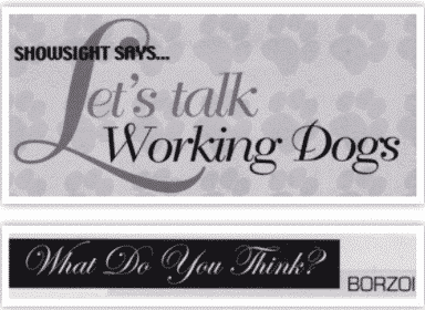 Form Follows Function | Happy 30th Anniversary to SHOWSIGHT!