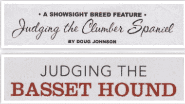 Form Follows Function | Happy 30th Anniversary to SHOWSIGHT!