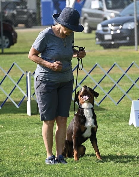 CH Hektor Blässhunde USA CM RE (Owner/Handler Paula Webber)