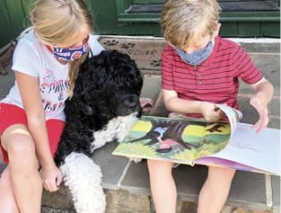 The Versatile Portuguese Water Dog