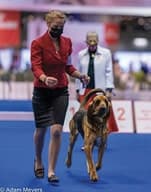 2021 Best Junior Handler Emma Rogers