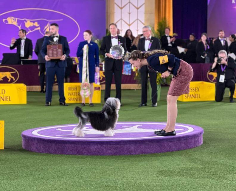 Erin Bernecker 2022 WKC Dog Show Best Junior Handler 