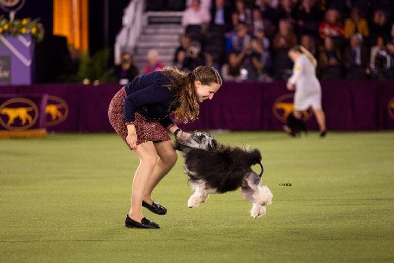 Erin Bernecker 2022 Westminster Kennel Club Dog Show Best Junior Handler 