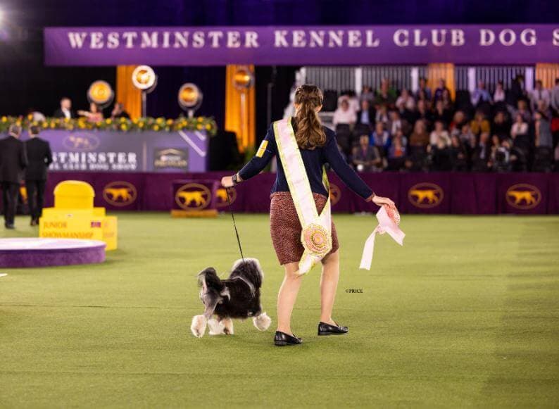 Erin Bernecker Interview – 2022 WKC Dog Show Best Junior Handler