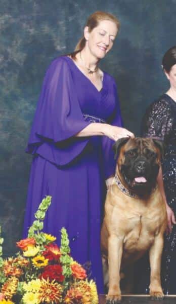 Affinity Bullmastiffs - Carrie Lane