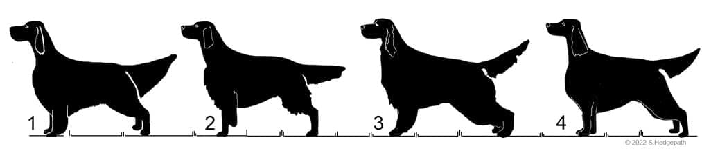 Figure 4. The Setters in Profile