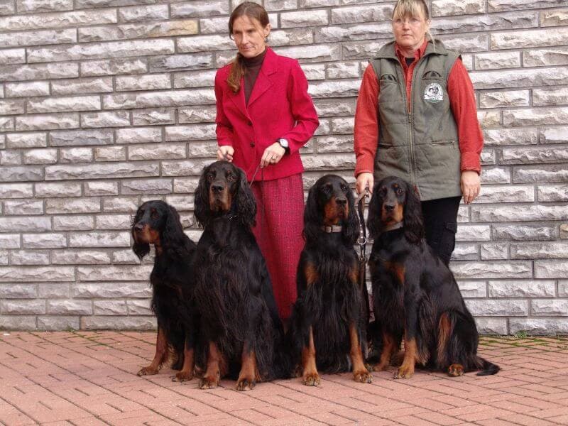 ‘Hunter’ and Girls