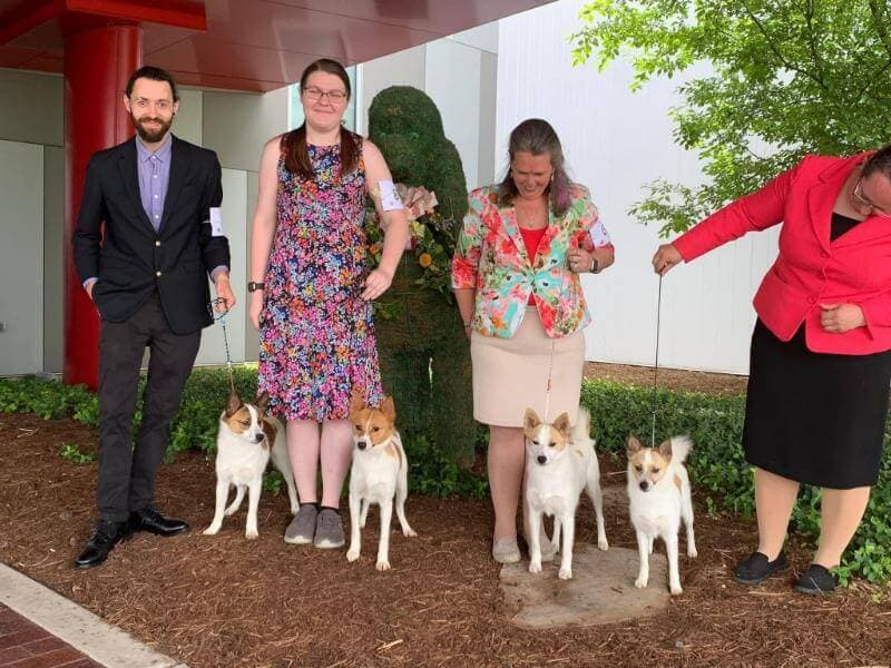 4 dogs and their owners standing outside