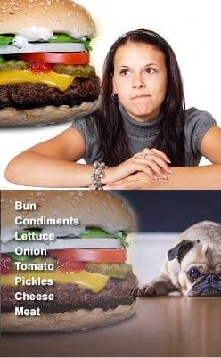 Figure 5. Scent Discrimination of a Cheeseburger: Human (top), Dog (bottom)