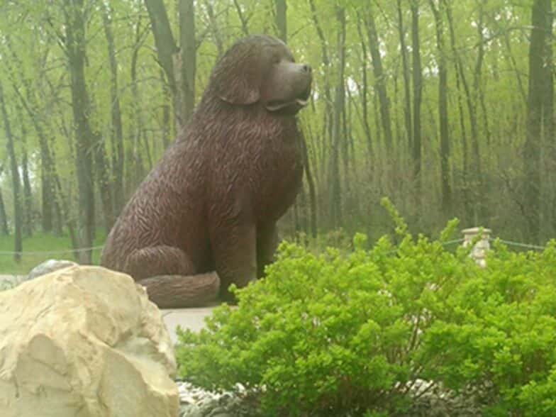 newfoundland statue