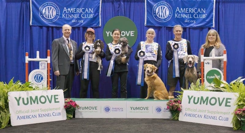AKC Agility Invitational Winners