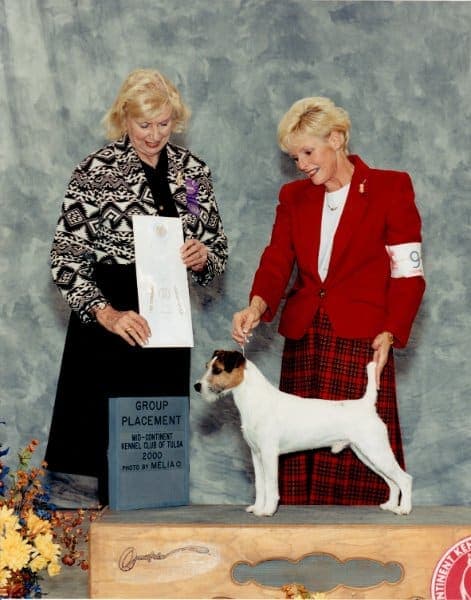 BISS CH Heythrop Trailblazer (Heythrop Tweed x Heythrop Trouble),bred by Roger and Linda Bigland. 