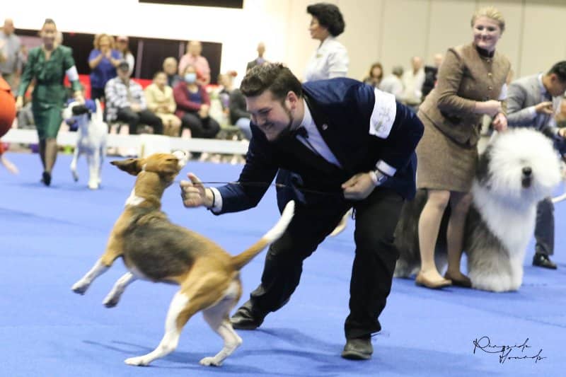 Meet Noah Milam – 2022 AKC National Championship Best Junior Handler