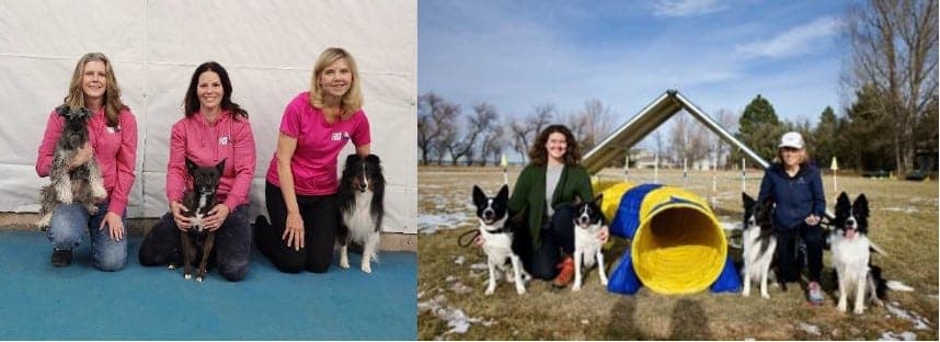 Agility League Season 2 winners