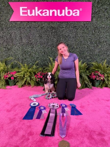 AKC Agility Invitational Winner – Junior Excellent Class (12”): Basil – Handler: Charly Teller