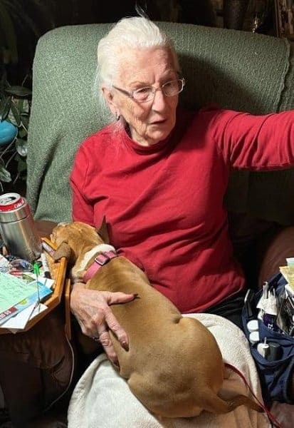 Service Dogs: Why Our Purposefully Bred Dogs Are a Better Fit