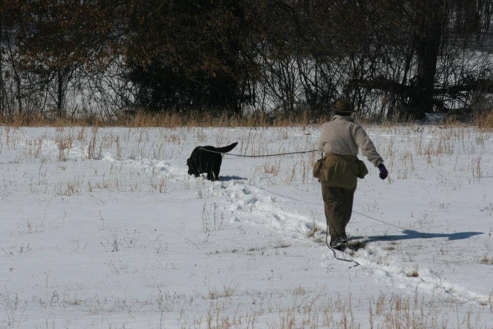 Sylvia loved tracking, dragging me through the snow to find all her TDX articles.