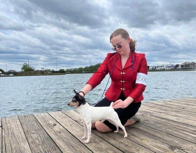 Girl sitting with her Toy Fox Terrier dog on the dock, by the lake
