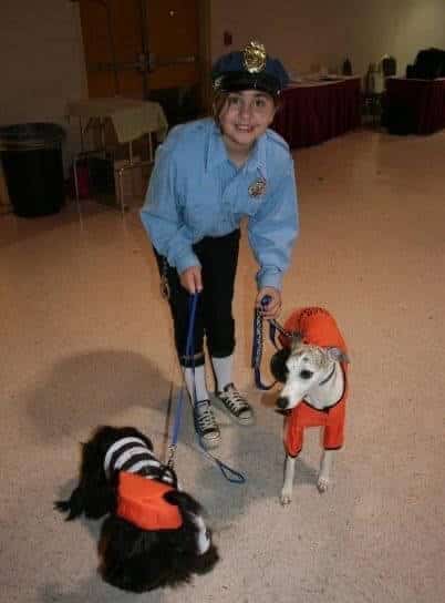 Young girl with a Whippet and a Shih Tzu