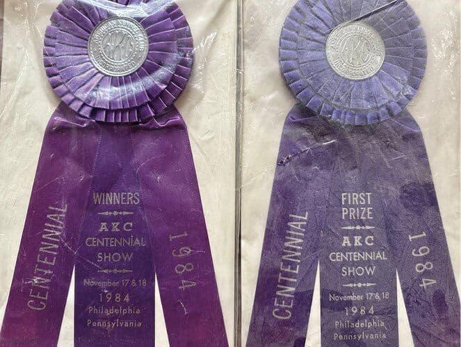 ribbons and rossetes