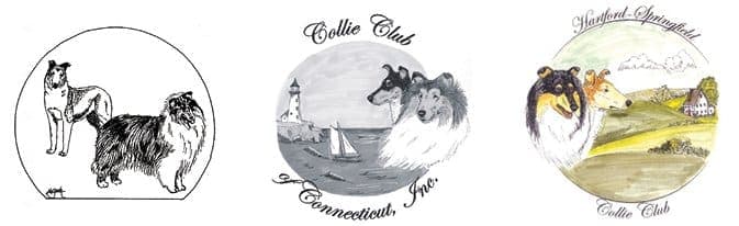 Family, Friends, Collies and More Making Memories in Connecticut