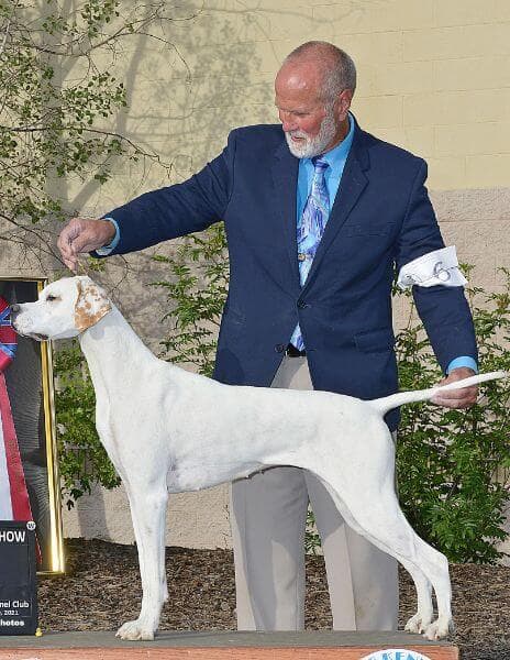 Kevin Chestnut, a Show Chairman.