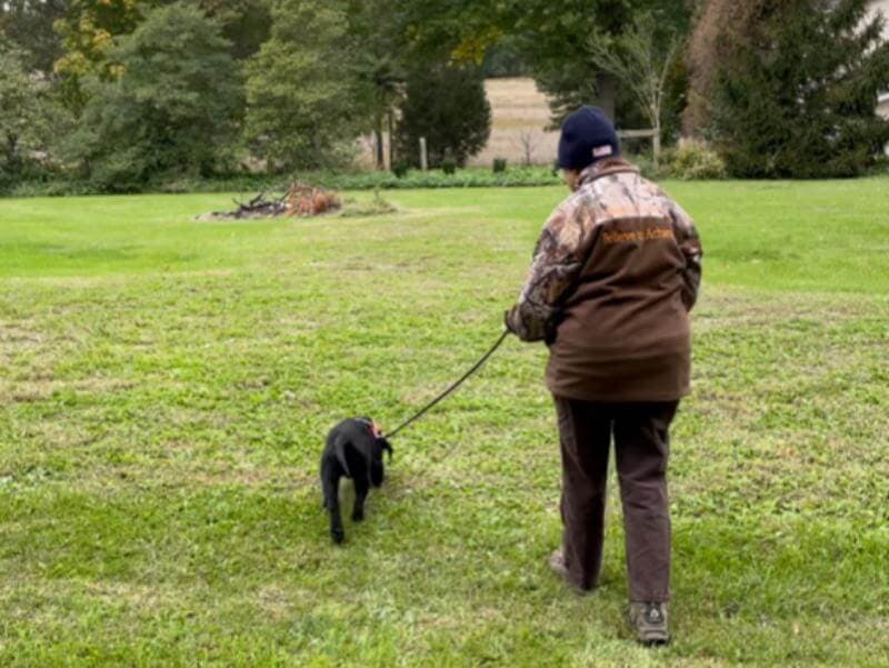 An elderly man strolling with his dog in a vast field