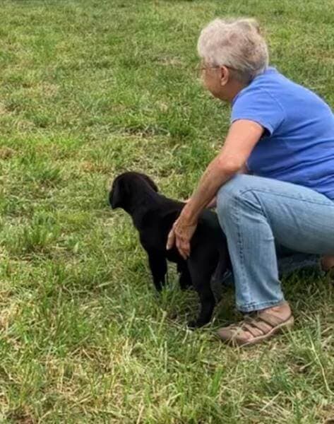 An elderly woman pets a black dog while kneeling down on the grass.