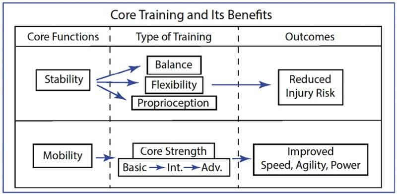 A picture of Core training and its benefits for dogs.