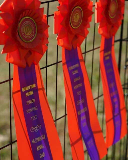 Qualifying Ribbons
