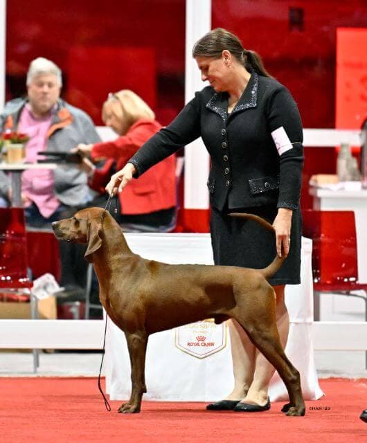 Interview with the Breeder/Owner Handler Jenny Henry