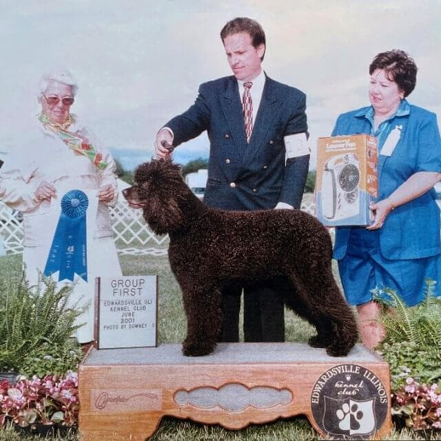 Dan handles Irish Water Spaniel CH Beaufield Kibitzer to Group First under all-breed judge Ms. Denny Kodner. Photo by Downey
