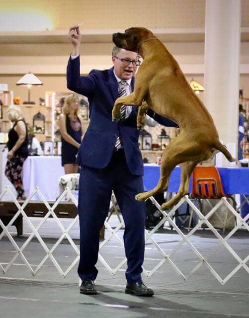 Bentley and Shane playing in the ring.