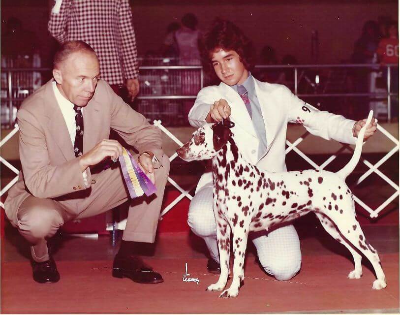 Ralph’s first Dalmatian champion that he finished: Ch. Quaker Ridge Lady Bug.