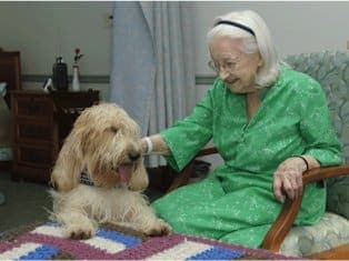Therapy Benedict
